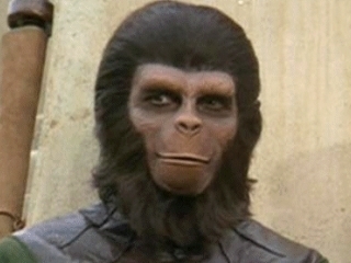 ape.jpg