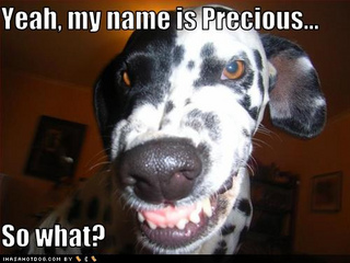 funny-dog-pictures-name-precious.jpg
