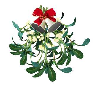mistletoe.jpg